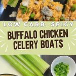 Easy Buffalo Chicken Celery Boats for Parties